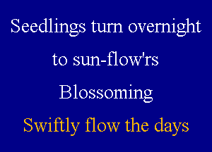 Seedlings tum ovemight
t0 sun-flow'rs
Blossoming

Swiftly flow the days