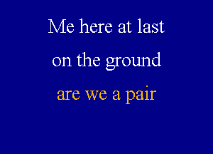 Me here at last

on the ground

are we a pair