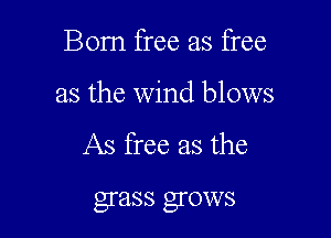 Bom free as free

as the wind blows

As free as the

grass gI'OVVS