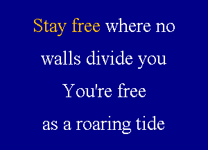 Stay free where no

walls divide you

You're free

as a roaring tide