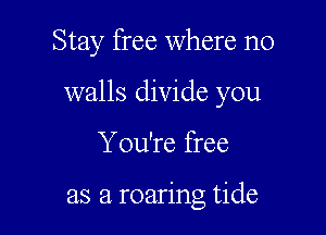 Stay free where no

walls divide you

You're free

as a roaring tide