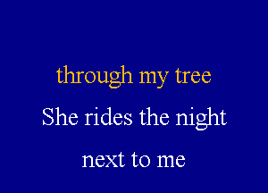 through my tree

She rides the night

next to me