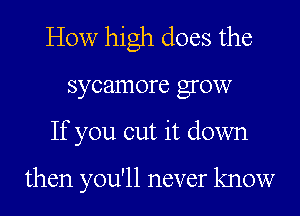 How high does the

sycamore grow
If you cut it down

then you'll never know