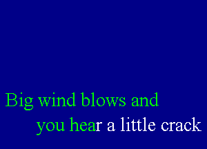 Big wind blows and
you hear a little crack