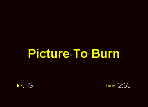 Picture To Burn