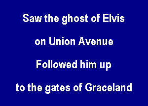Saw the ghost of Elvis

on Union Avenue

Followed him up

to the gates of Graceland