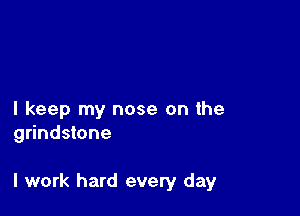 I keep my nose on the
grindstone

I work hard every day
