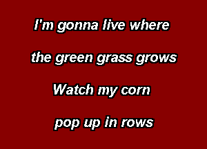I'm gonna live where

the green grass grows

Watch my com

pop up in rows