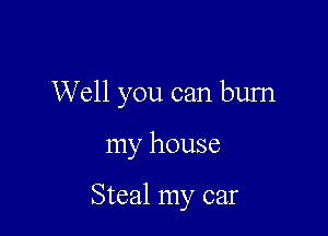 Well you can burn

my house

Steal my car