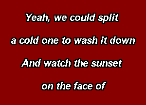 Yeah, we could split

a cold one to wash it down
And watch the sunset

on the face of