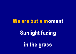 We are but a moment

Sunlight fading

in the grass