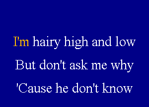 I'm hairy high and low
But don't ask me why
'Cause he don't know