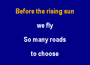 Before the rising sun

we fly
So many roads

to choose