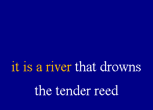 it is a river that drowns

the tender reed
