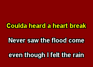 Coulda heard a heart break

Never saw the flood come

even though I felt the rain