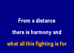From a distance

there is harmony and

what all this fighting is for