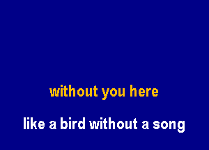 without you here

like a bird without a song