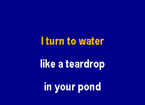 lturn to water

like a teardrop

in your pond