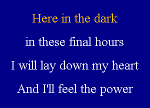 Here in the dark
in these fmal hours
I Will lay down my heart
And I'll feel the power