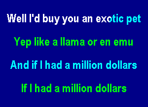 Well I'd buy you an exotic pet
Yep like a llama or en emu
And if I had a million dollars

If I had a million dollars