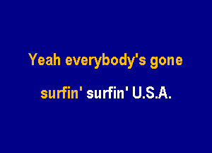 Yeah everybody's gone

surfin' surfin' U.S.A.