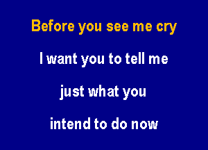 Before you see me cry

I want you to tell me

just what you

intend to do now