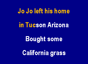 Jo Jo left his home
in Tucson Arizona

Bought some

California grass
