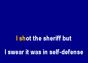 I shot the sheriff but

I swear it was in self-defense