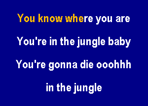You know where you are
You're in the jungle baby

You're gonna die ooohhh

in thejungle