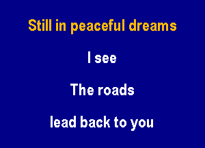Still in peaceful dreams
I see

The roads

lead back to you