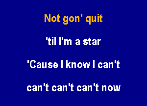 Not gon' quit

'til I'm a star
'Cause I know I can't

can't can't can't now