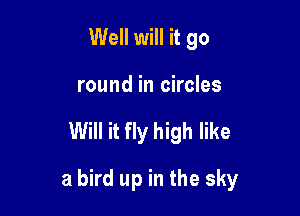 Well will it go
round in circles

Will it fly high like

a bird up in the sky