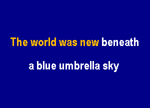 The world was new beneath

a blue umbrella sky
