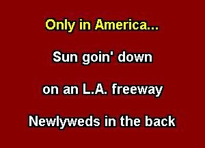 Only in America...
Sun goin' down

on an LA. freeway

Newlyweds in the back