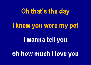 Oh that's the day
lknew you were my pet

lwanna tell you

oh how much I love you