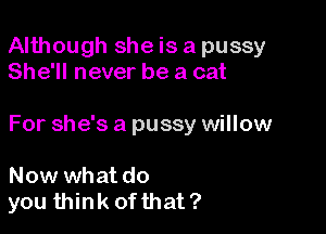 Although she is a pussy
She'll never be a cat

For she's a pussy willow

Now what do
you think of that ?