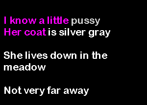 lknow a little pussy
Her coat is silver gray

She lives down in the
meadow

Not very far away