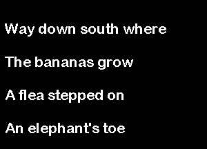 Way down south where

The bananas grow

A Hea stepped on

An elephant's toe