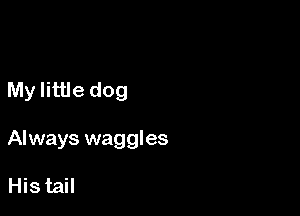 My little dog

Always waggles

Histail