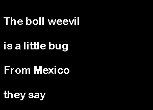 The boll weevil

is a little bug

From Mexico

they say