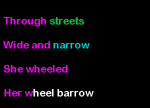 Through streets

Wide and narrow
She wheeled

Her wheel barrow