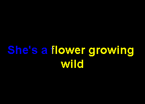 She's a flower growing

wild
