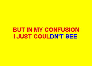 BUT IN MY CONFUSION
I JUST COULDN'T SEE