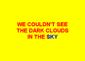 WE COULDN'T SEE
THE DARK CLOUDS
IN THE SKY
