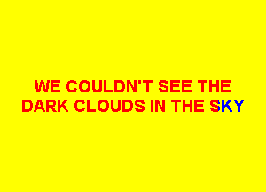 WE COULDN'T SEE THE
DARK CLOUDS IN THE SKY