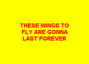 THESE WINGS TO
FLY ARE GONNA
LAST FOREVER