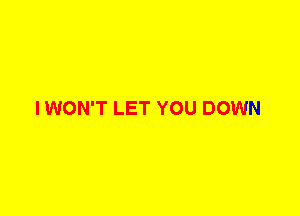 I WON'T LET YOU DOWN