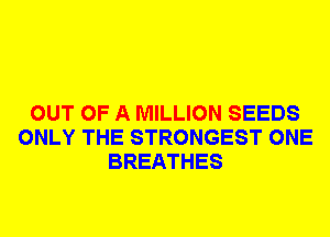 OUT OF A MILLION SEEDS
ONLY THE STRONGEST ONE
BREATHES