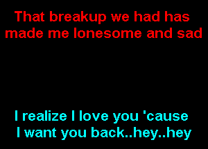 That breakup we had has
made me lonesome and sad

I realize I love you 'cause
I want you back..hey..hey