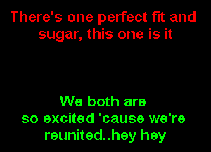 There's one perfect fit and
sugar, this one is it

We both are
so excited 'cause we're
reunited..hey hey